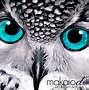 Image result for Black and White Owl Canvas Prints