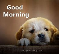 Image result for Funny Good Morning Puppy