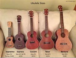 Image result for What Is a Ukulele