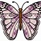 Image result for butterfly wings patterns