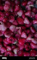 Image result for Guava Fruit Pile