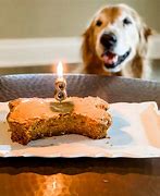 Image result for White Dog Cake