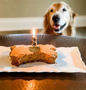 Image result for Cheer Up Dog Cake