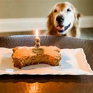 Image result for Realistic Dog Cake