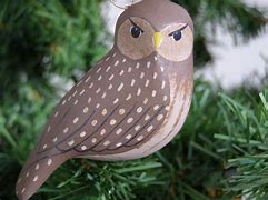 Image result for Barred Owl Gifts