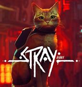 Image result for Stray B12