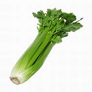 Image result for Small Bag Celery