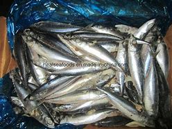 Image result for Frozen Mackerel Bait