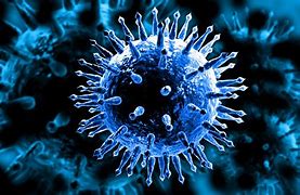 Image result for Influenzavirus A