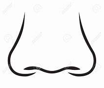 Image result for Nose Drawing Kids