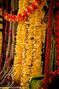 Image result for Hawaiian Flower Lei