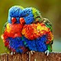 Image result for Simple Rainbow Lion