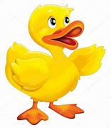 Image result for Yellow Duck Meme