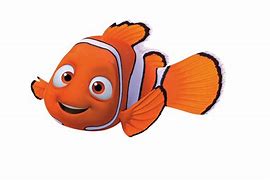 Image result for Nemo Cut