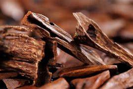 Image result for Oud Smell