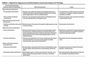 Image result for Spleen Enlargement CT