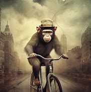 Image result for Human Riding a Monkey