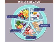 Image result for 6 Food Groups for Kids