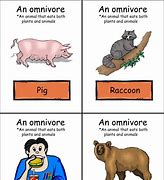 Image result for 10 Omnivores