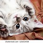 Image result for Rat Upside Down