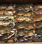 Image result for Maryland Steamed Crabs