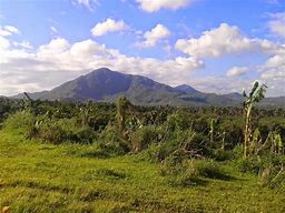 Image result for Mount Kalisungan