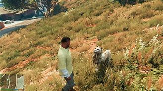 Image result for GTA 5 Mountain