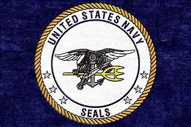 Image result for Navy SEAL Team Insignias