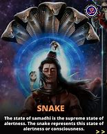 Image result for Chakra Snake