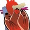 Image result for Real Heart Clip Art