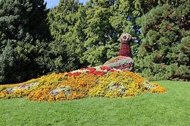 Image result for Lake Constance Mainau