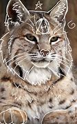 Image result for Whitest Lynx PFP