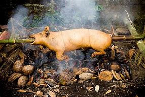 Image result for Whole Roast Pork