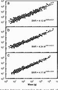 Image result for Basal Metabolic Rate with Black Background