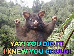 Image result for Yay You Did It Sticker