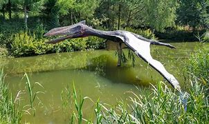 Image result for Pterosaur Beach