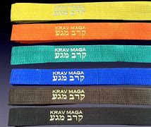 Image result for Krav Maga Wrist Locks