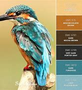 Image result for Kingfisher Blue Colour