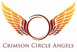 Image result for Angel Wings Icon