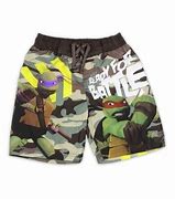 Image result for Ninja Turtles Swim Vest