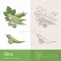 Image result for Okra Costume