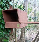 Image result for Kestrel Nest Box