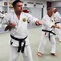 Image result for Karate vs Taekwondo