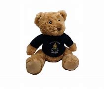 Image result for Miniature Golf Bear