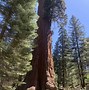 Image result for Sequoia Kings Canyon National Park