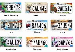 Image result for New MN License Plates