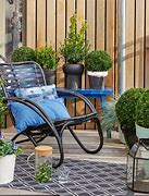 Image result for How to Grow Buxus Plants