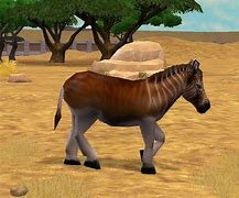 Image result for Zoo Tycoon Series