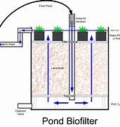 Image result for Bottom of Bog Diagram