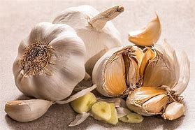 Image result for Pic of Garlic